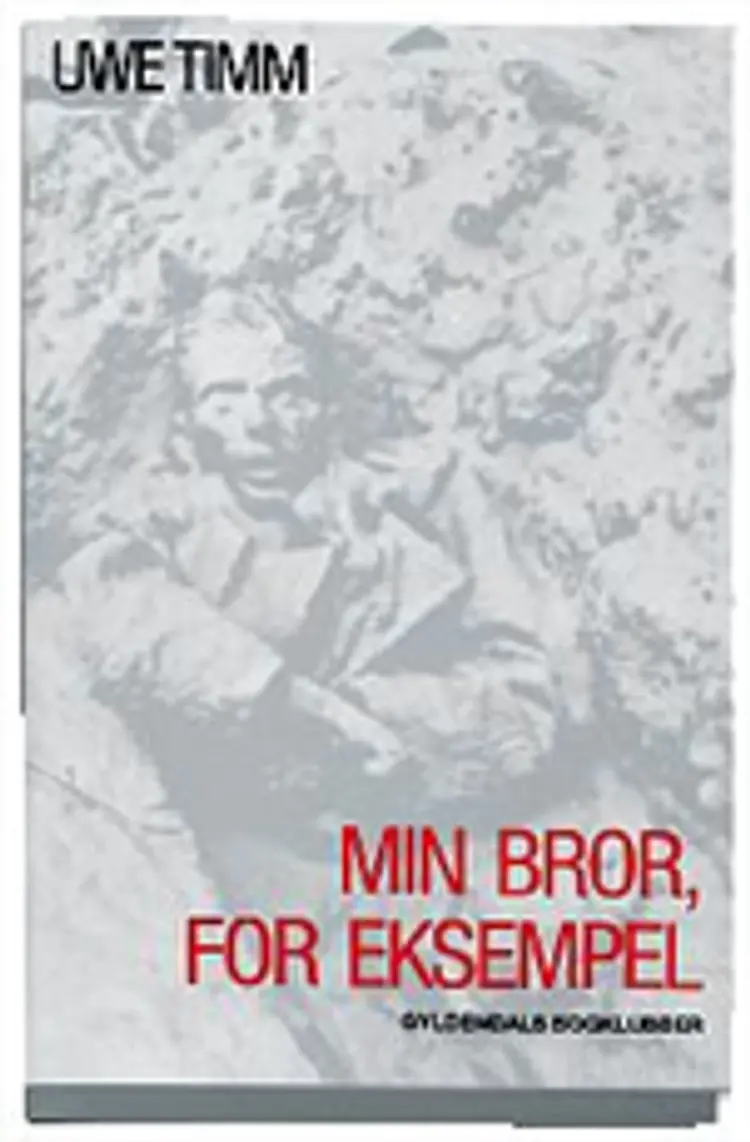 Min bror, for eksempel af Uwe Timm