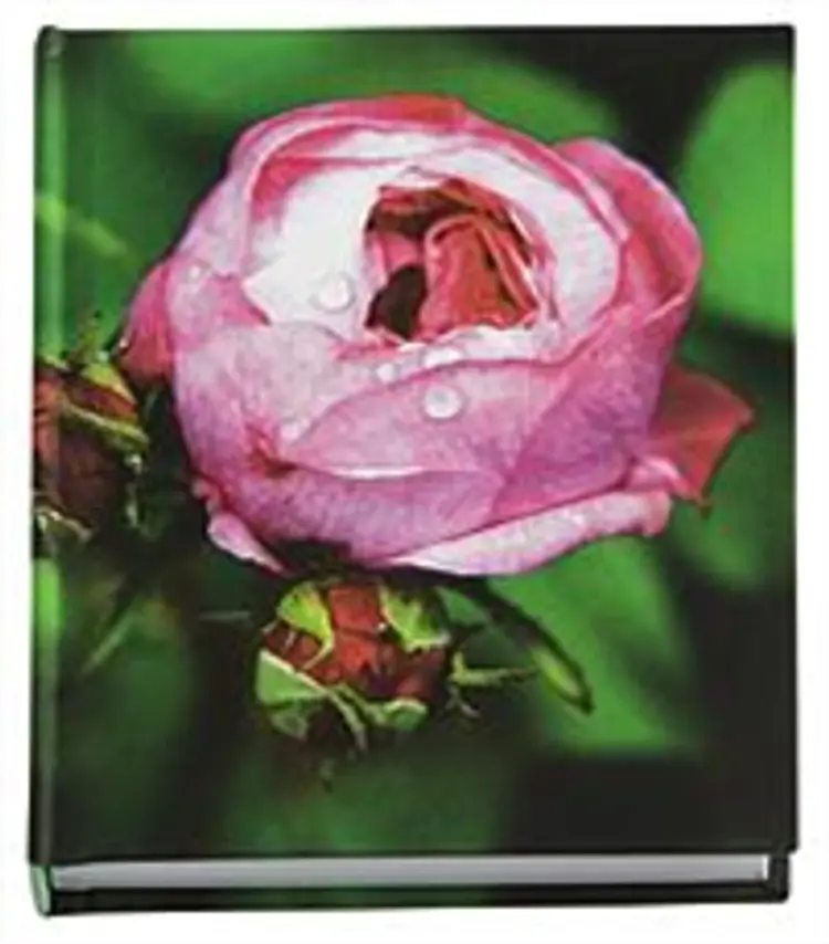 Notesbog med linier (rose serie) af -