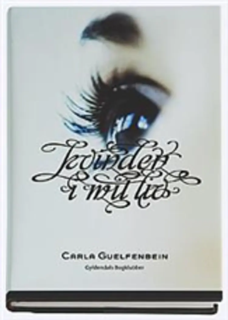 Kvinden i mit liv af Carla Guelfenbein