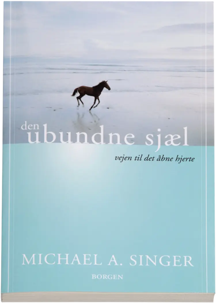Den ubundne sjæl af Michael A. Singer