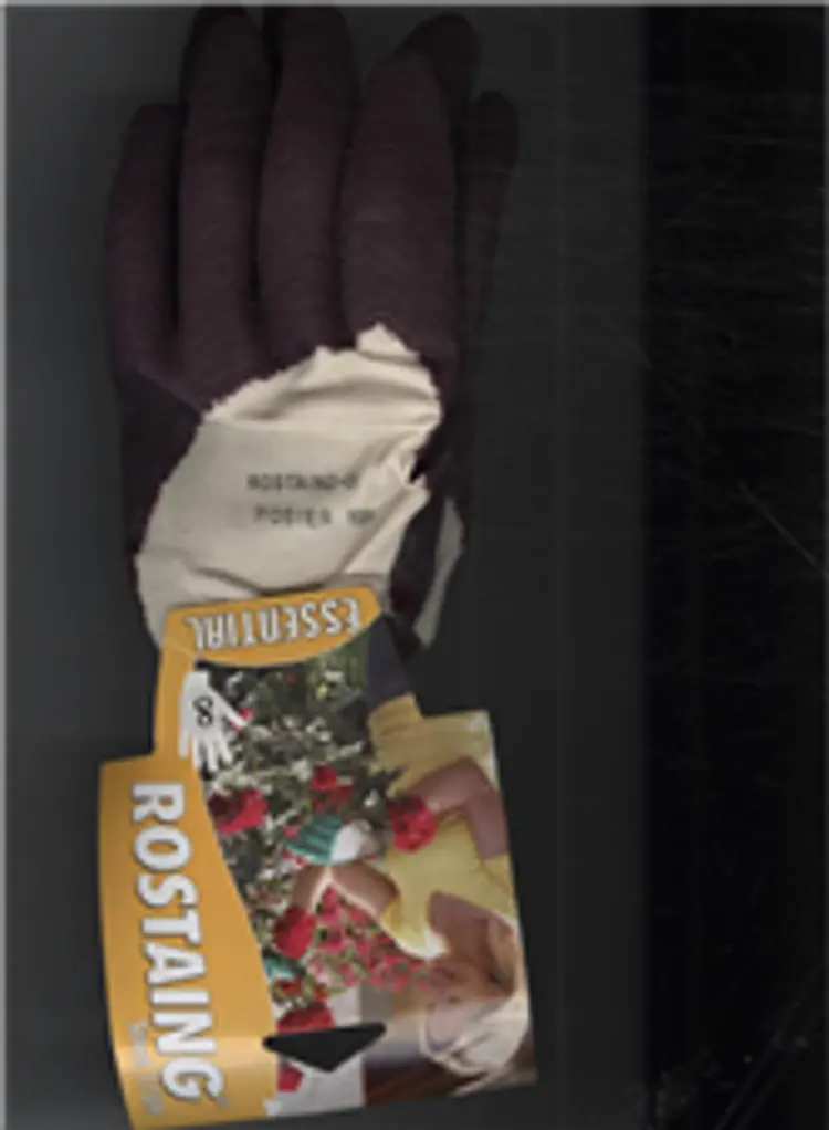 Rostaing handsker af -