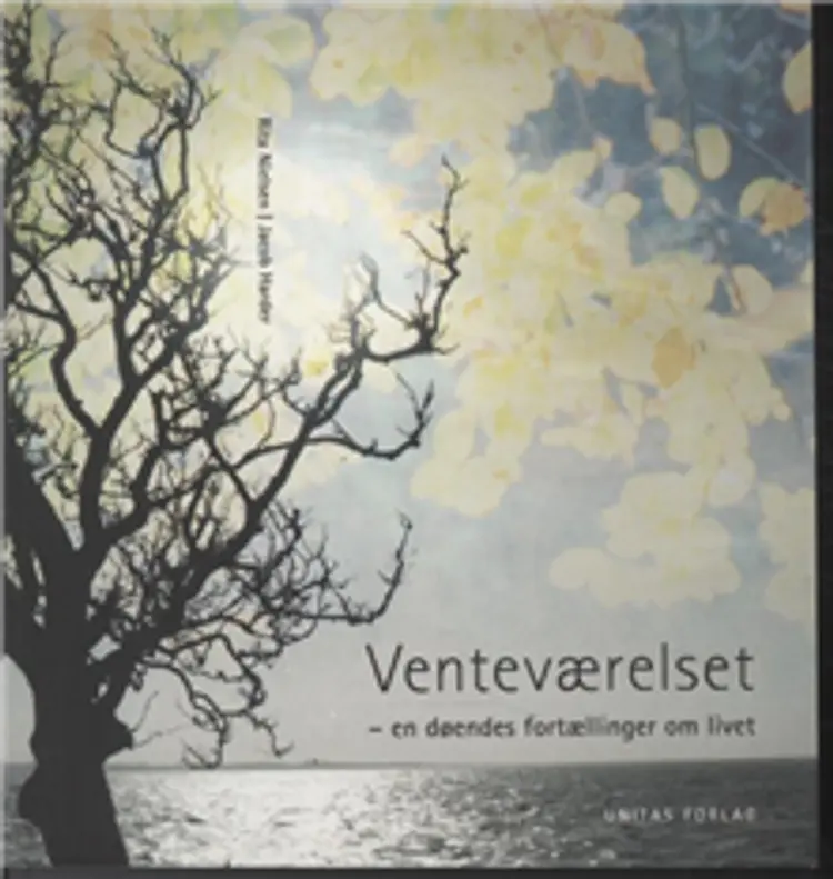 Venteværelset af Nielsen