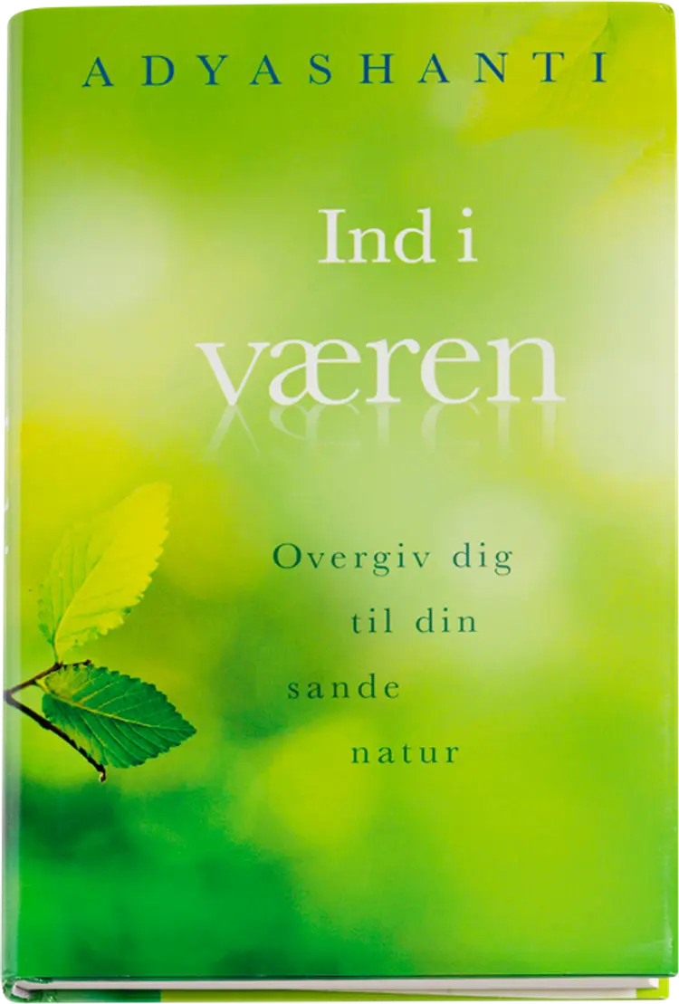 Ind i væren af Adyashanti