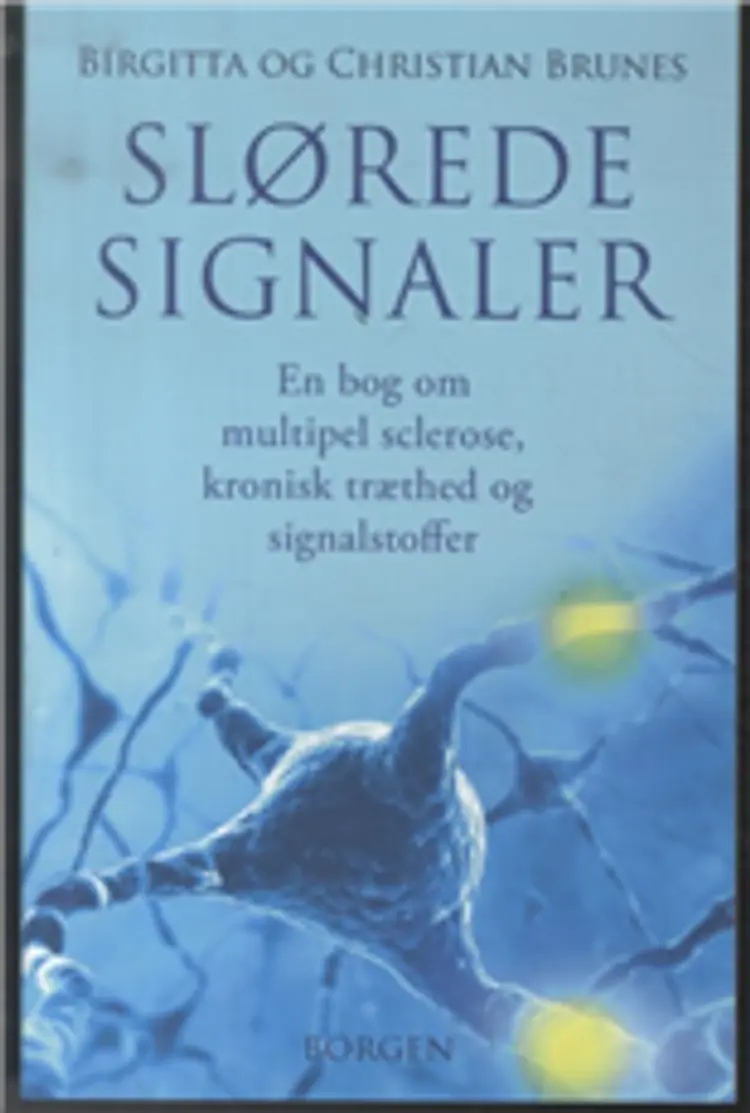 Slørede Signaler af Birgitta og Christian Brunes