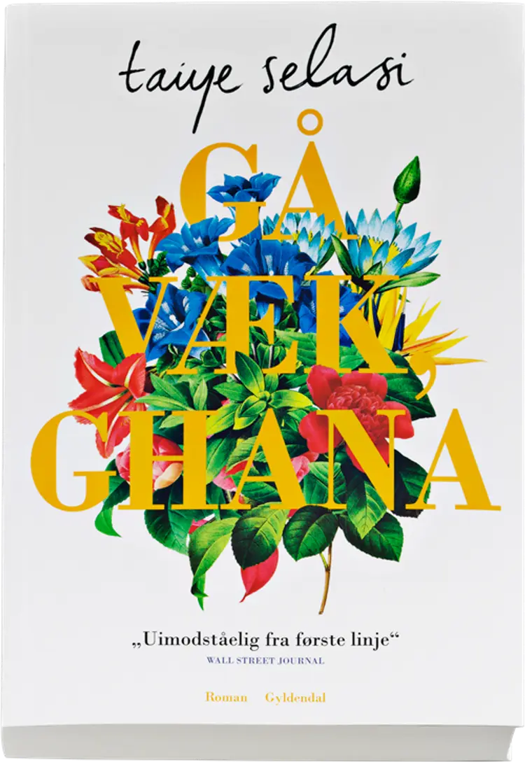 Gå væk, Ghana af Taiye Selasi