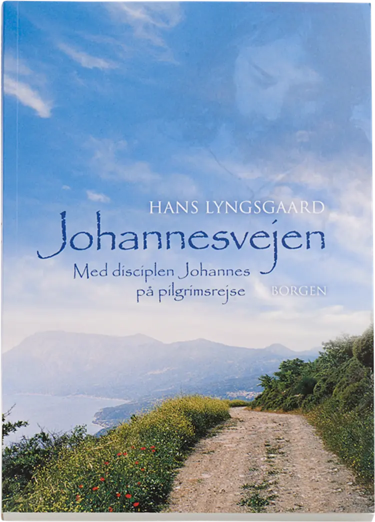 Johannesvejen af Hans Lyngsgaard