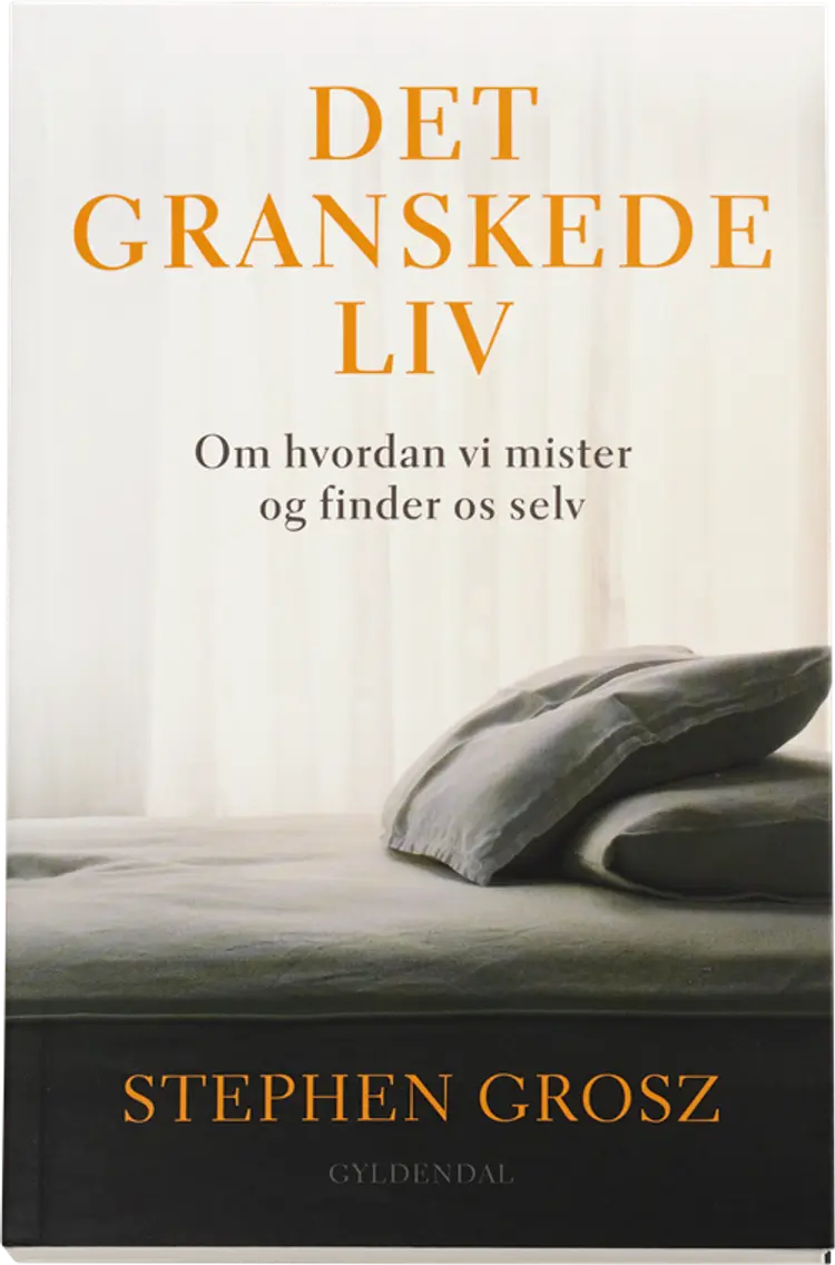 Det granskede liv af Stephen Grosz