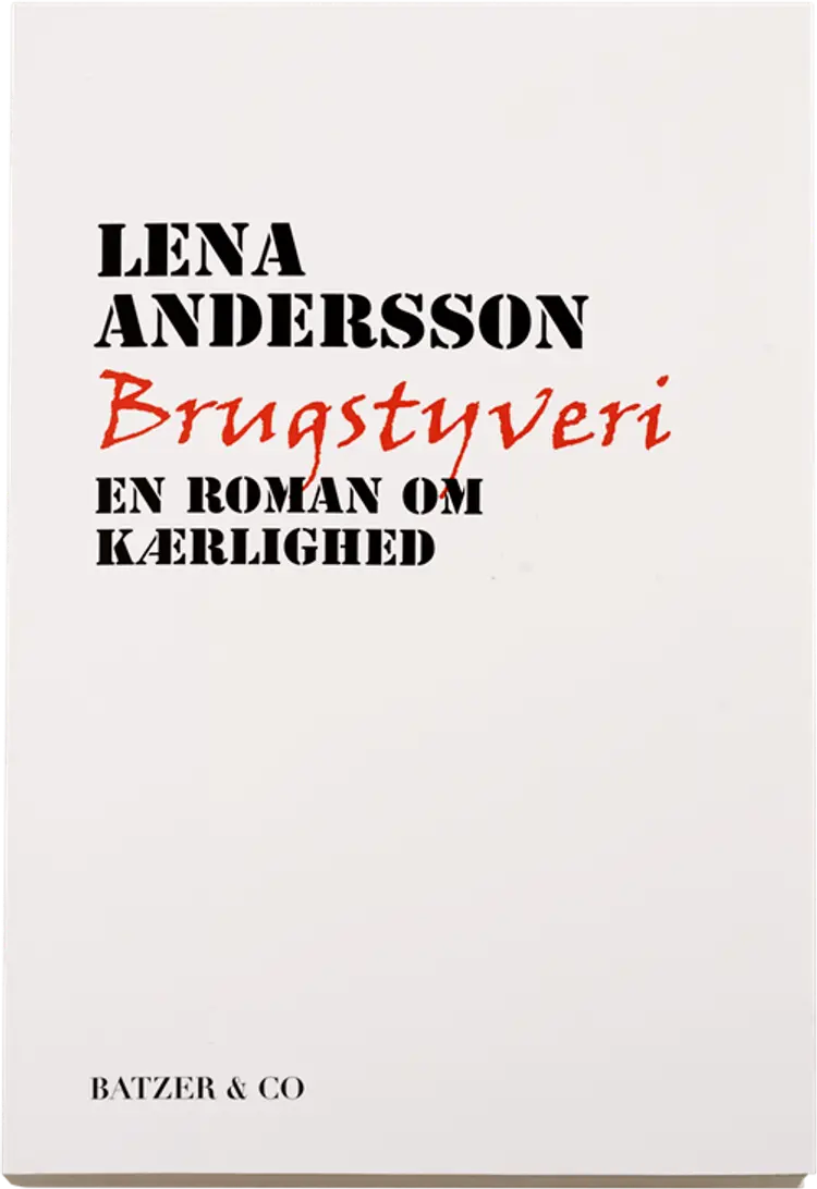 Brugstyveri af Lena Anderson