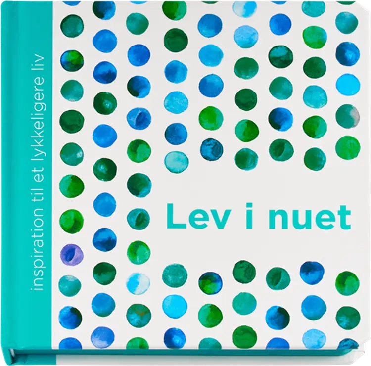 Lev i nuet af Dani DiPirro