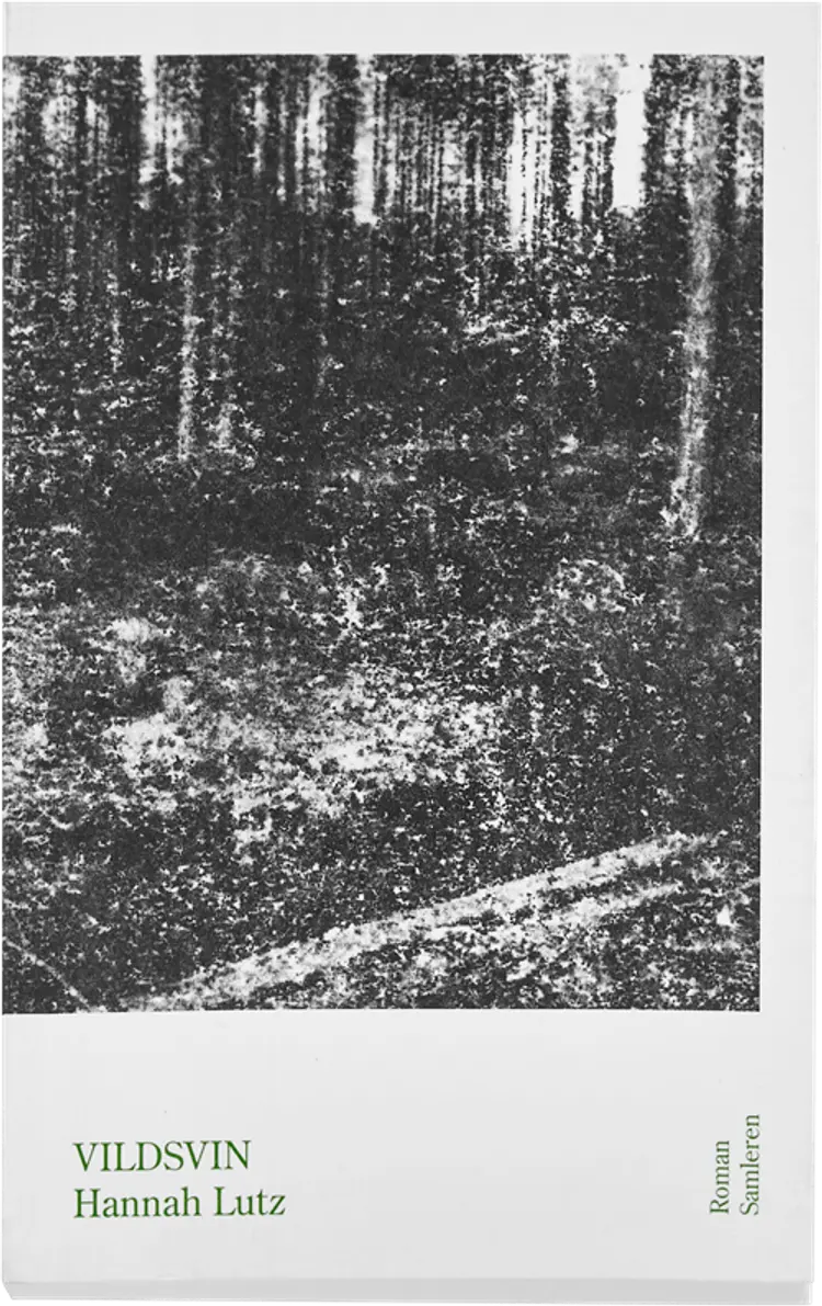 Vildsvin af Jan Christensen