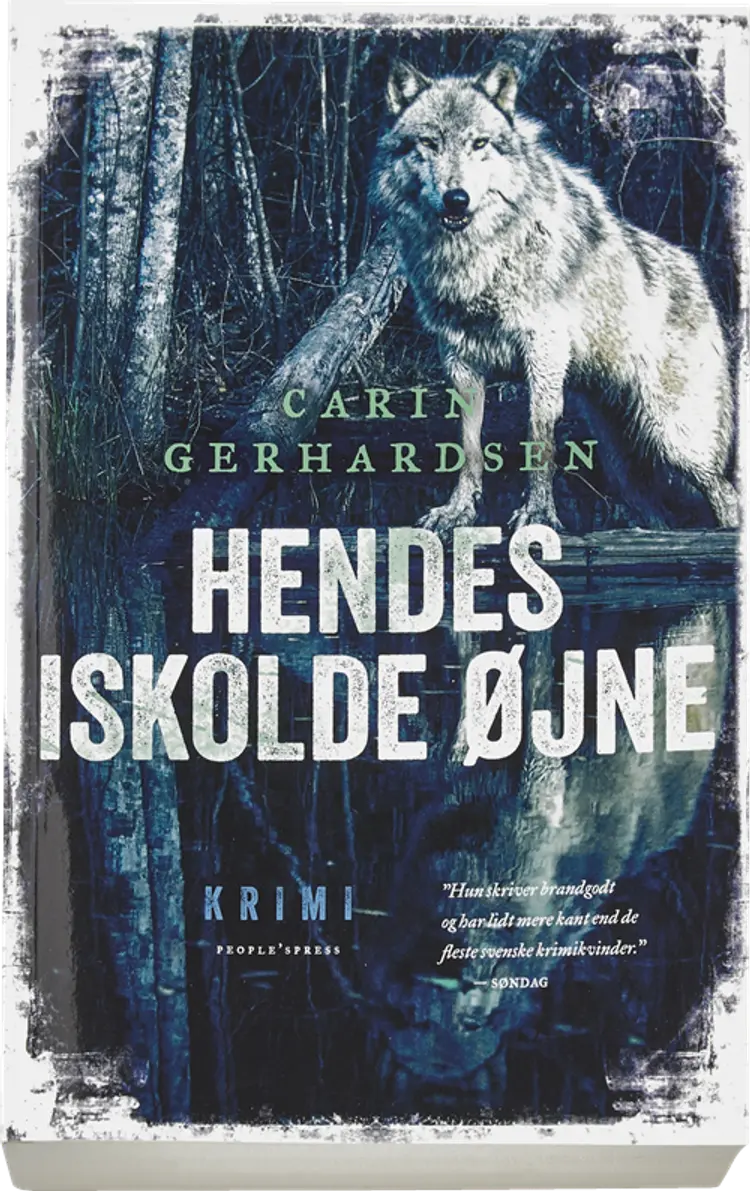Hendes iskolde øjne af Carin Gerhardsen