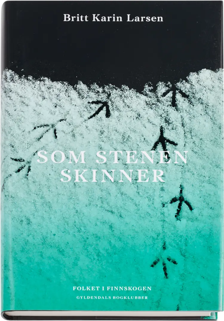 Som stenen skinner af Britt Karin Larsen