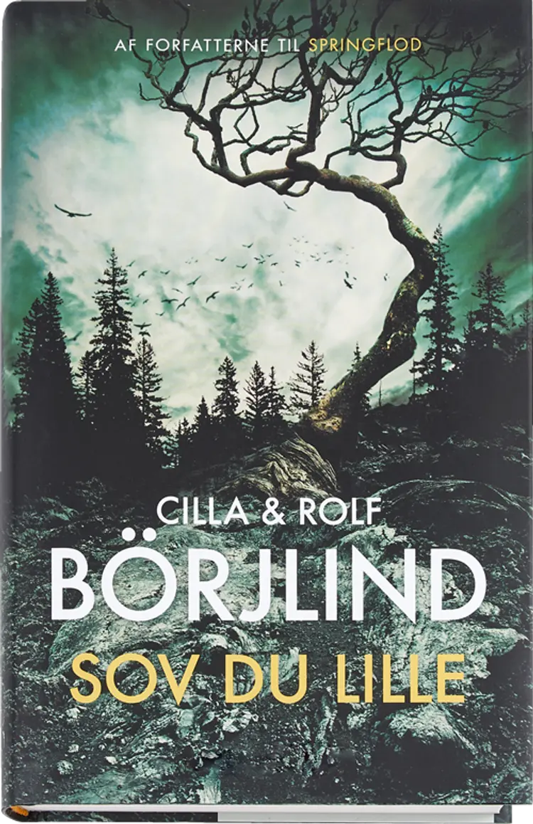 Sov du lille af Cilla & Rolf Börjlind