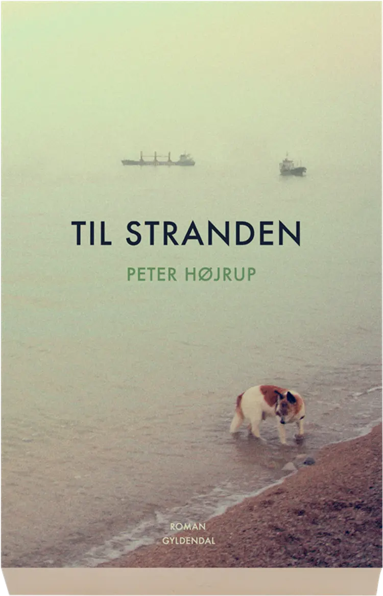 Til stranden af Peter Højrup
