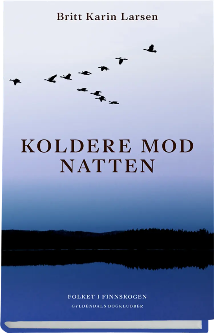 Koldere mod natten af Britt Karin Larsen