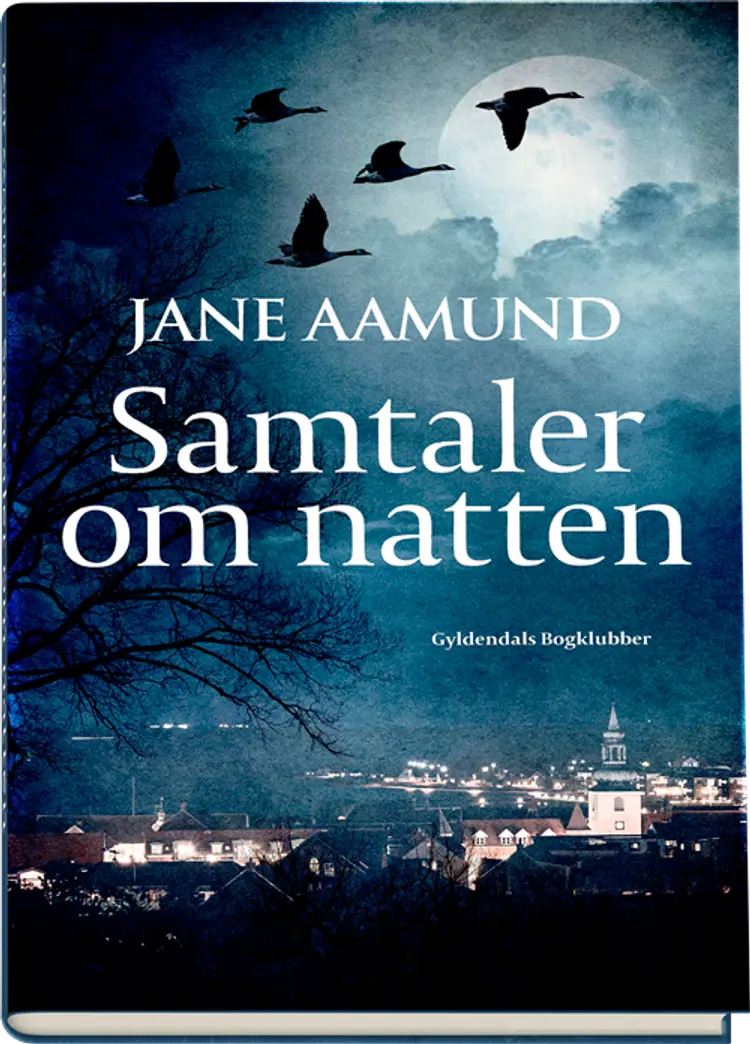 Samtaler om natten af Jane Aamund