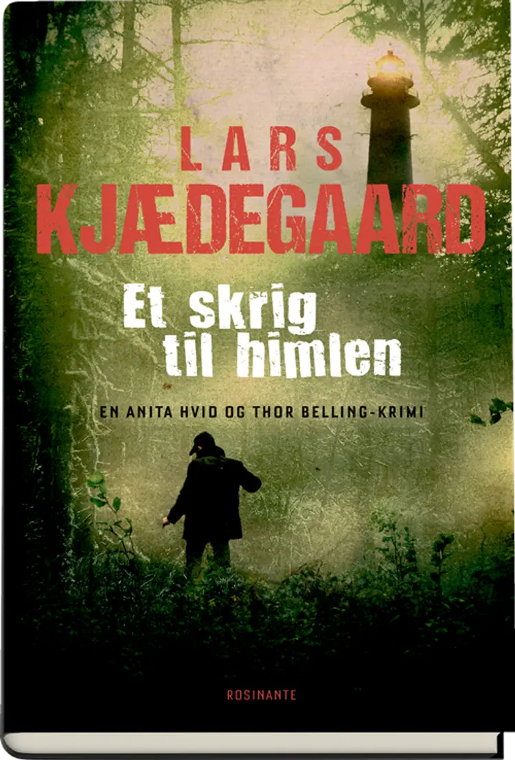 Et skrig til himlen af Lars Kjædegaard