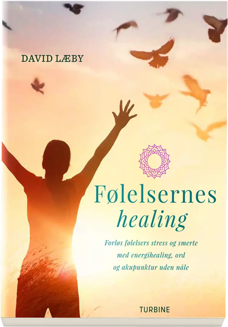 Følelsernes healing af David Læby Henningsen