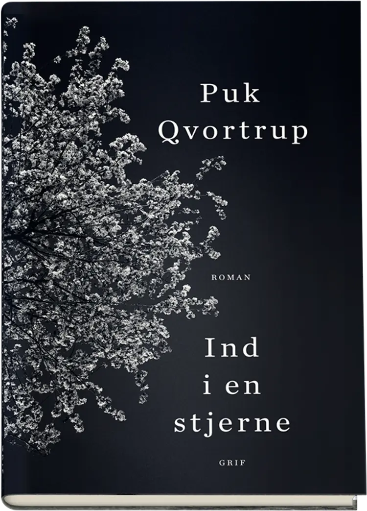 Ind i en stjerne af Charlotte Jørgensen