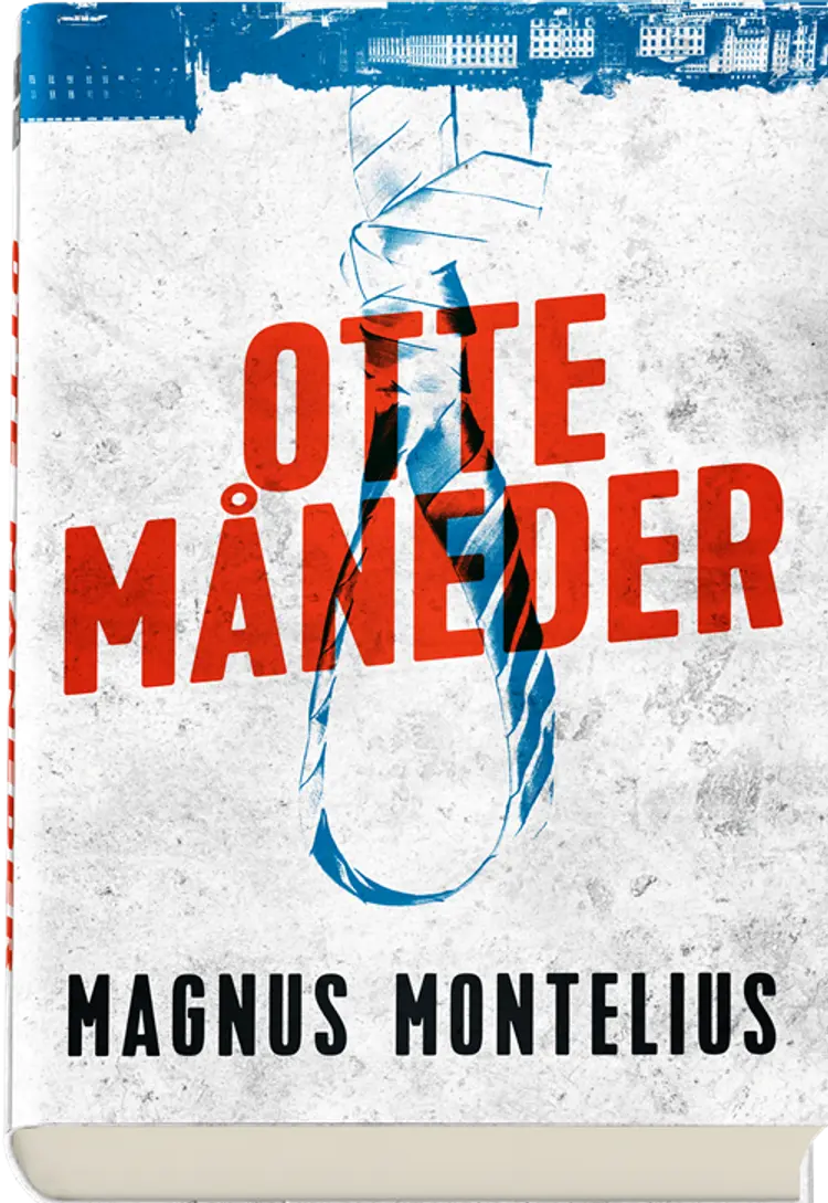 Otte måneder af Magnus Montelius
