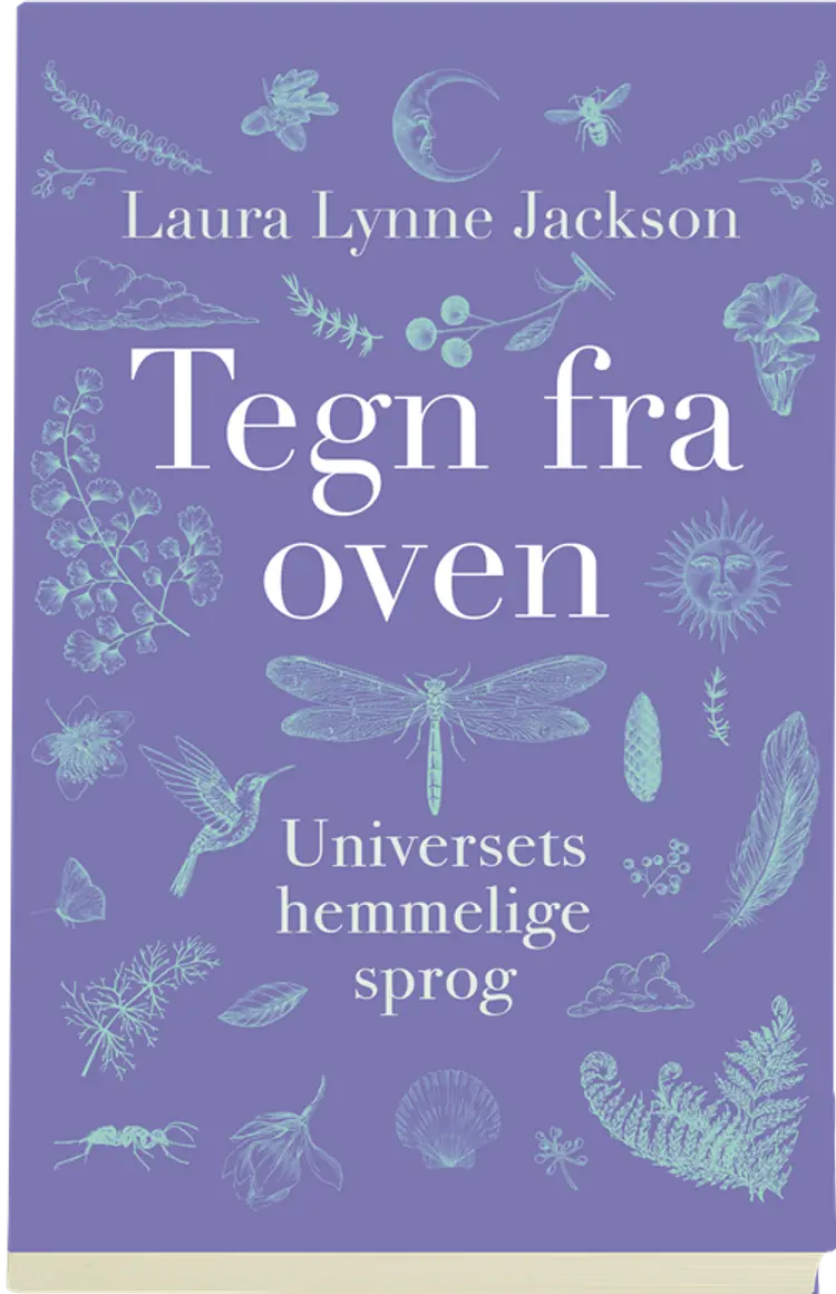 Tegn fra oven af Laura Lynne Jackson