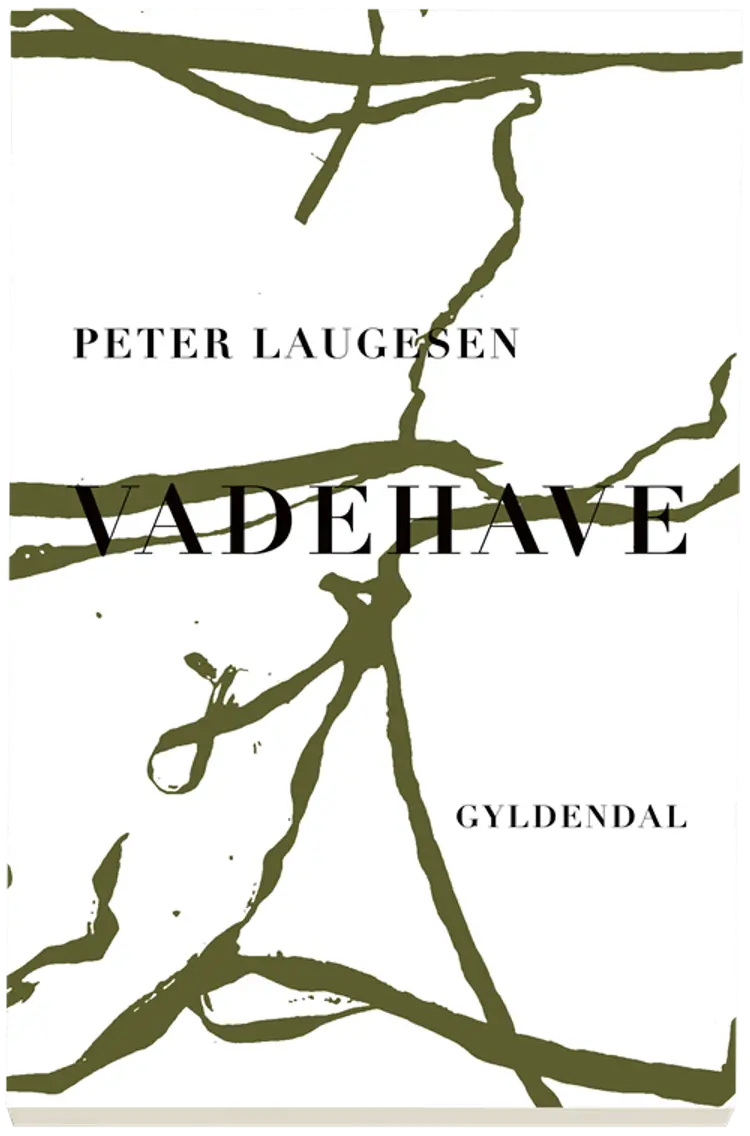Vadehave af Peter Laugesen