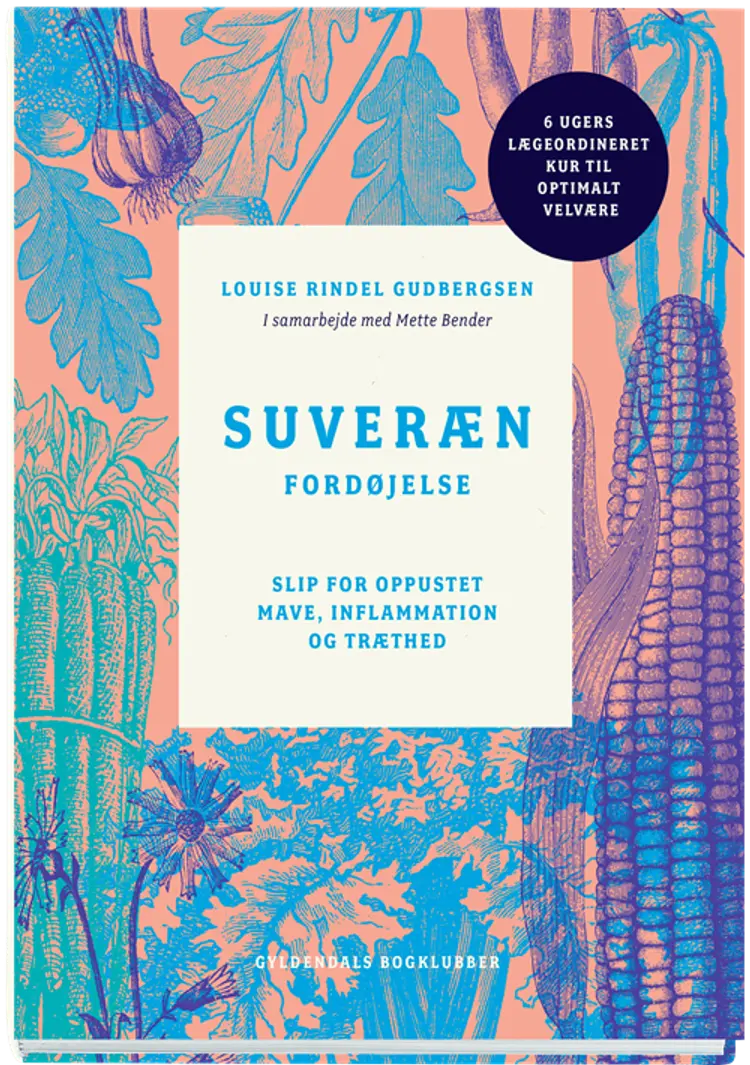 Suveræn fordøjelse af Louise Rindel Gudbergsen