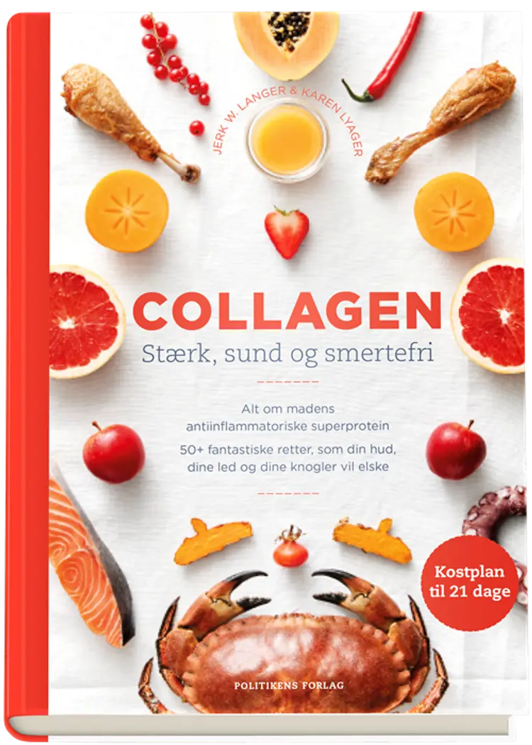Collagen af Jerk W. Langer