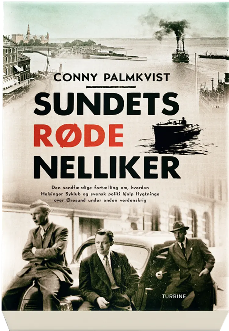 Sundets røde nelliker af Conny Palmkvist