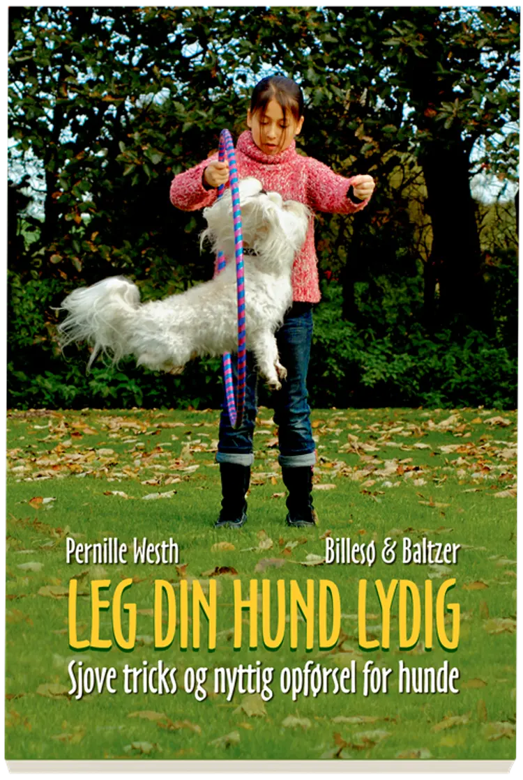 Leg din hund lydig af Pernille Westh