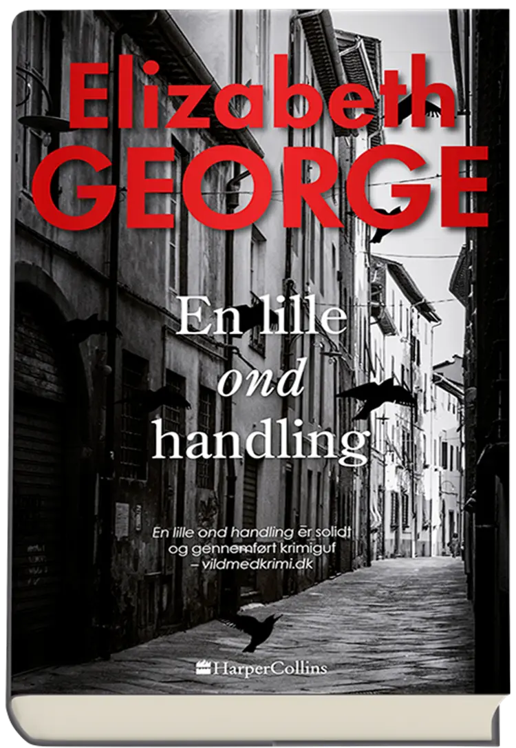 En lille ond handling af Elizabeth George