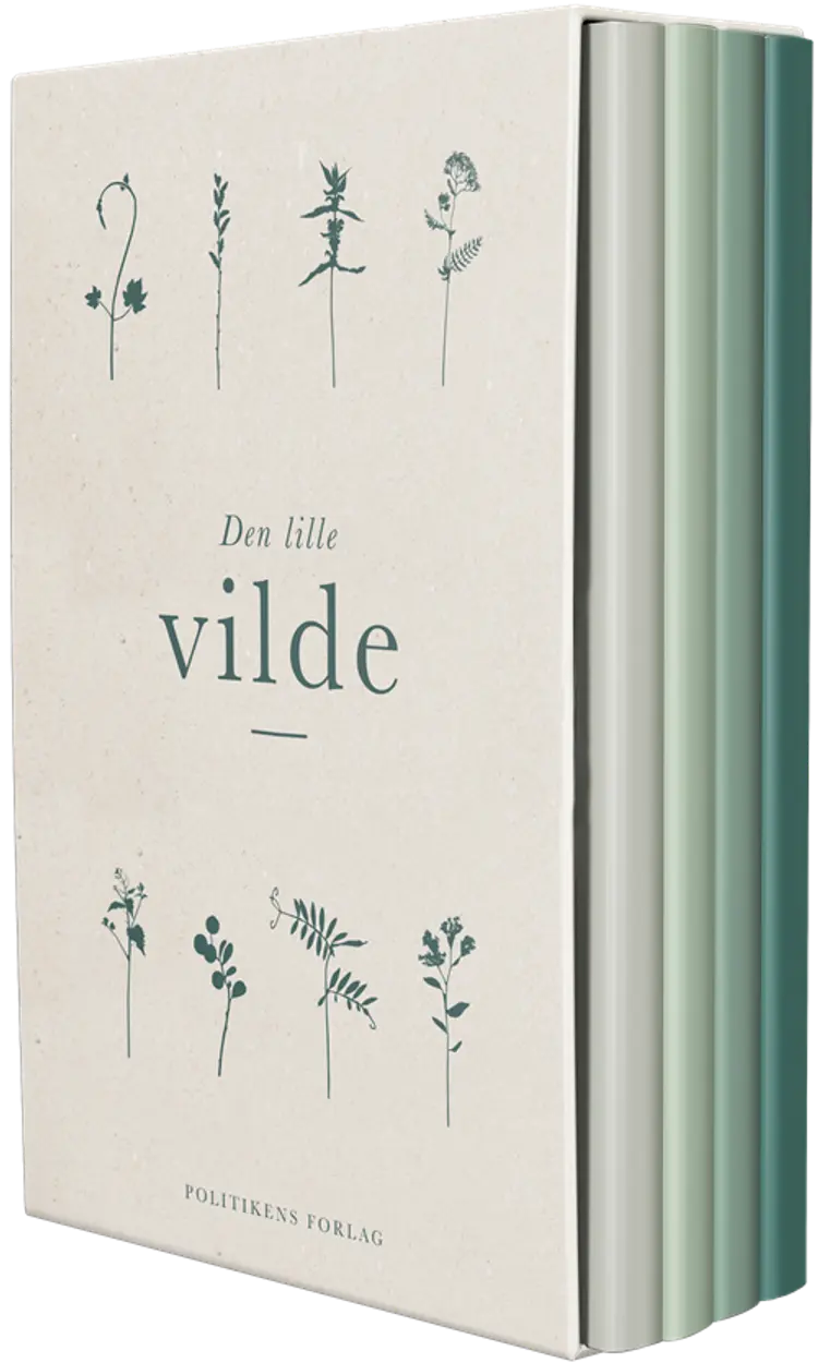 Den lille vilde af Thomas Laursen