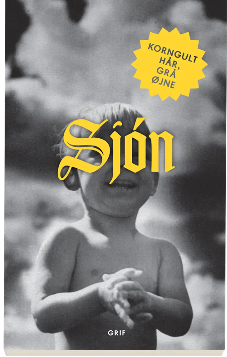 Korngult hår, grå øjne af Sjón