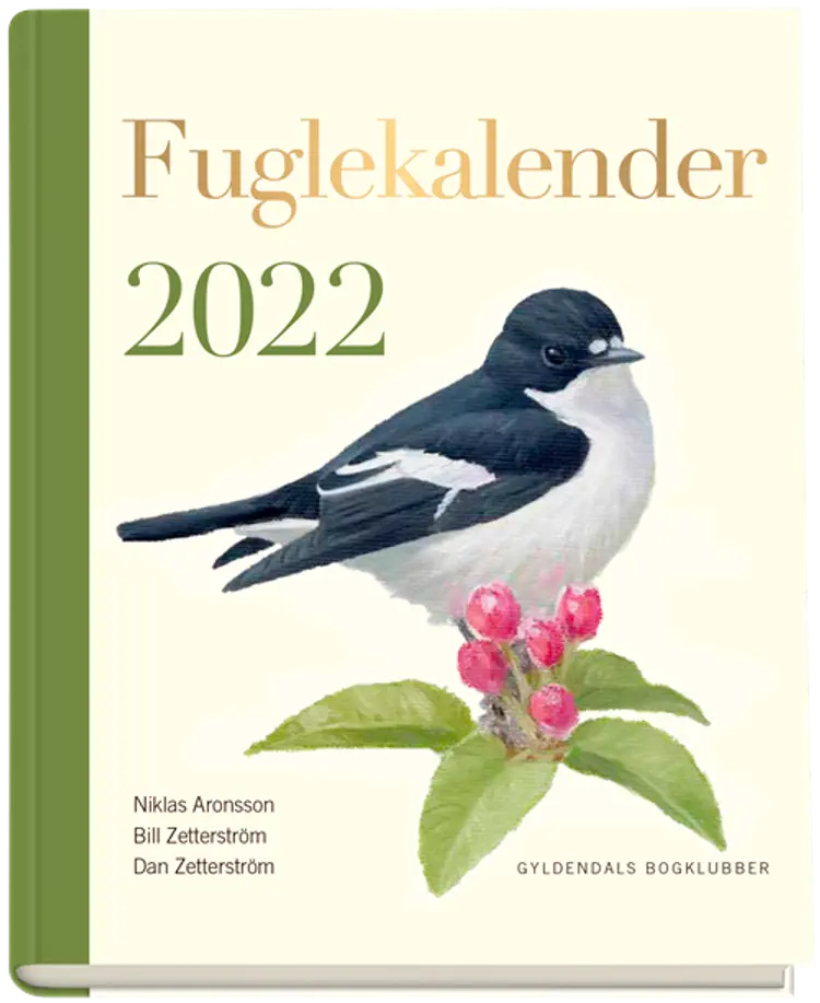 Fuglekalender 2022 af Dan Zetterström