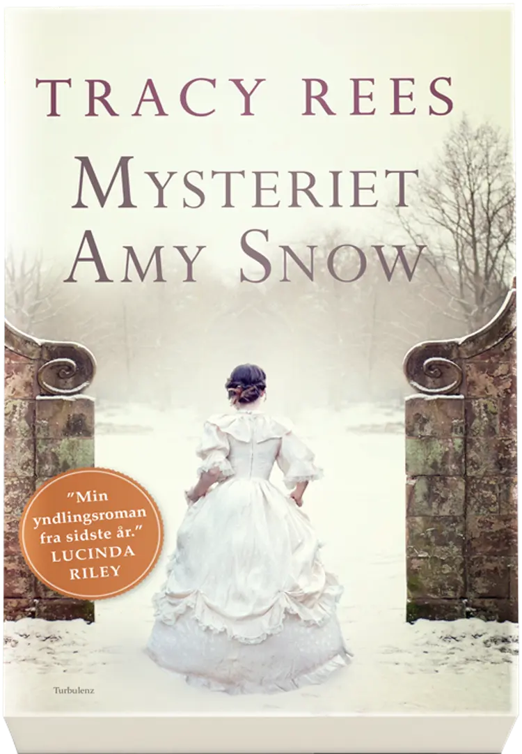 Mysteriet Amy Snow af Tracy Rees