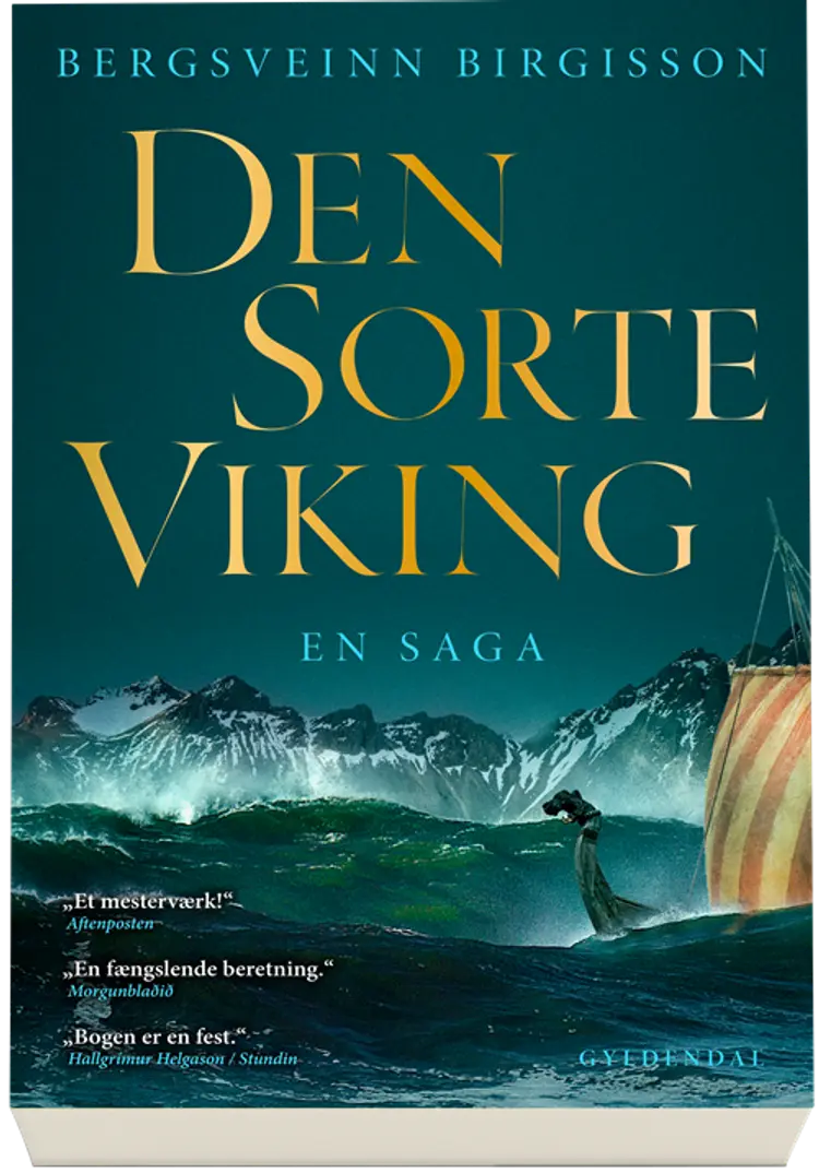 Den sorte viking af Bergsveinn Birgisson