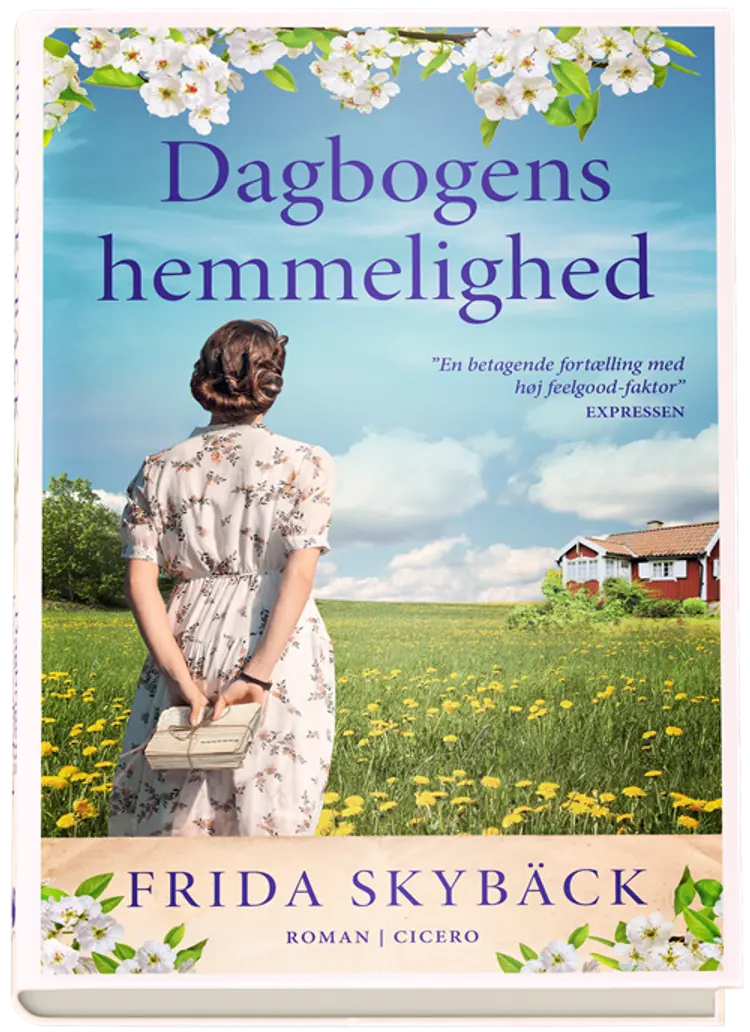 Dagbogens hemmelighed af Frida Skybäck
