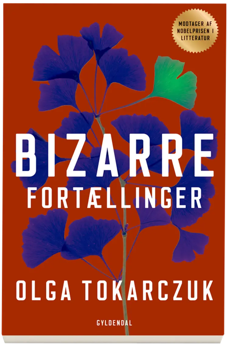 Bizarre fortællinger af Olga Tokarczuk