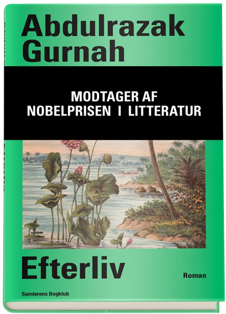 Efterliv af Abdulrazak Gurnah