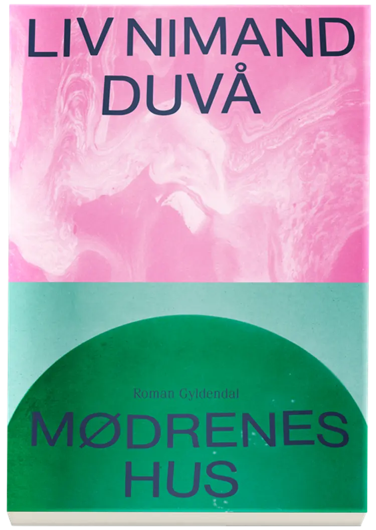 Mødrenes hus af Liv Nimand Duvå