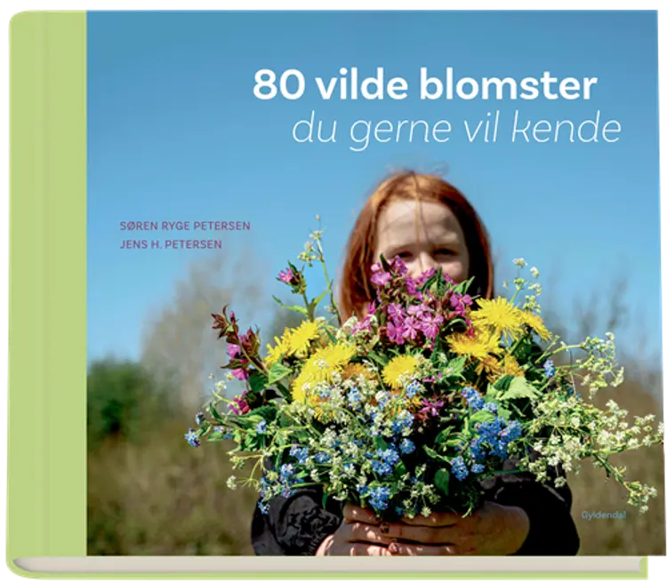 80 vilde blomster du gerne vil kende af Søren Ryge Petersen