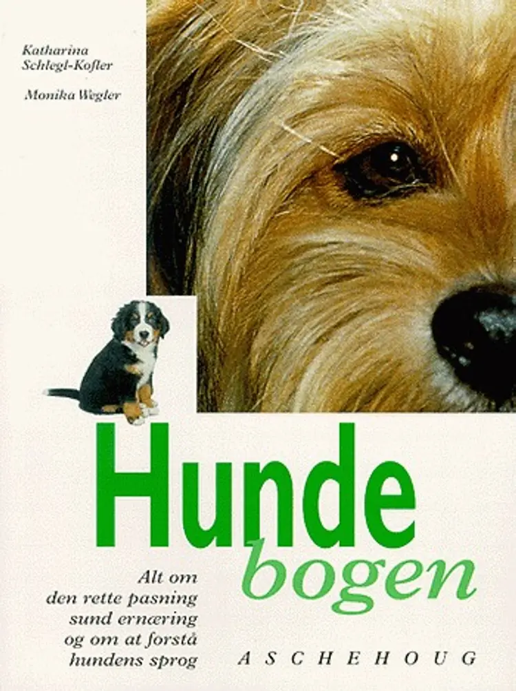 Hunden af Katharina Schlegl-Kofler