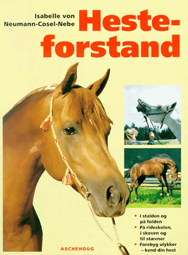 Hesteforstand af Isabelle von Neumann Cosel Nebe