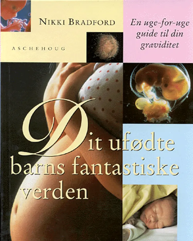 Dit ufødte barns fantastiske verden af Nikki Bradford