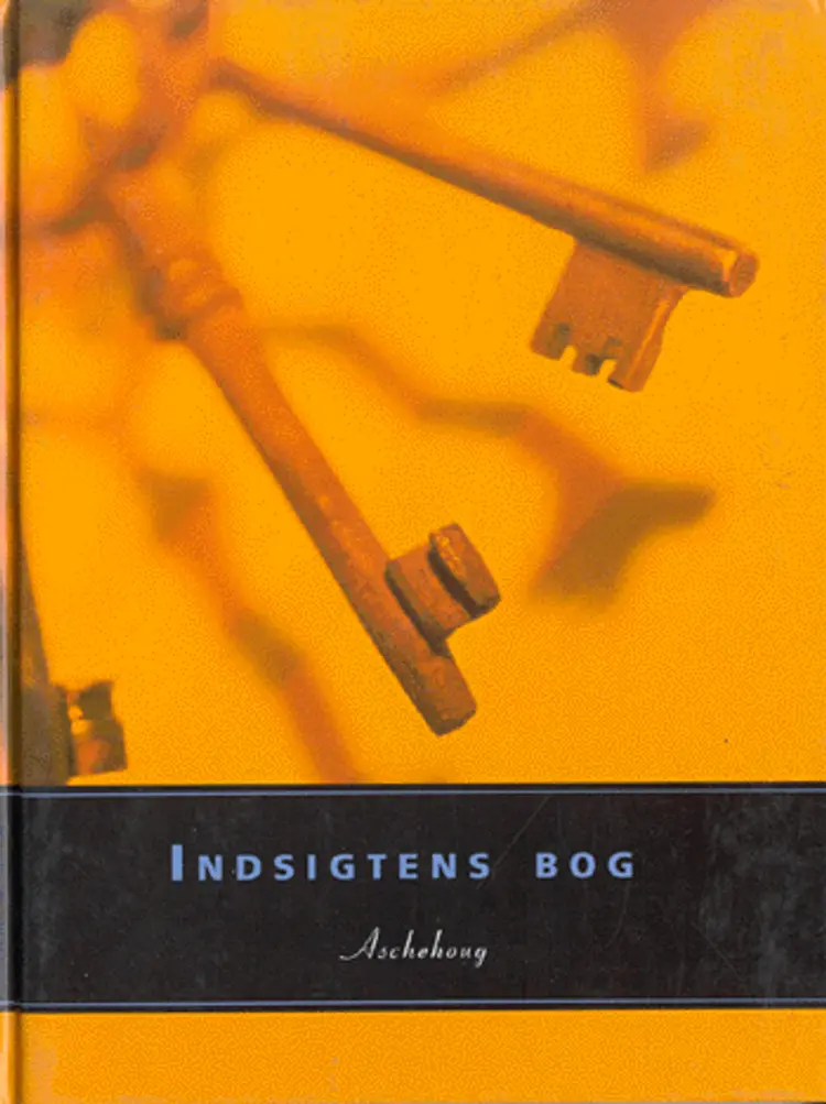 Indsigtens bog af Christine Holm