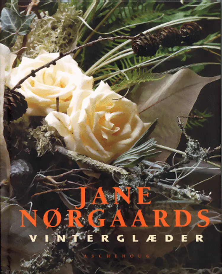 Jane Nørgaards vinterglæder af Dorte Andersson