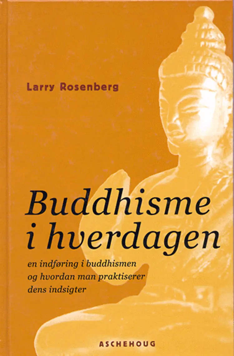 Buddhisme i hverdagen af Larry Rosenberg