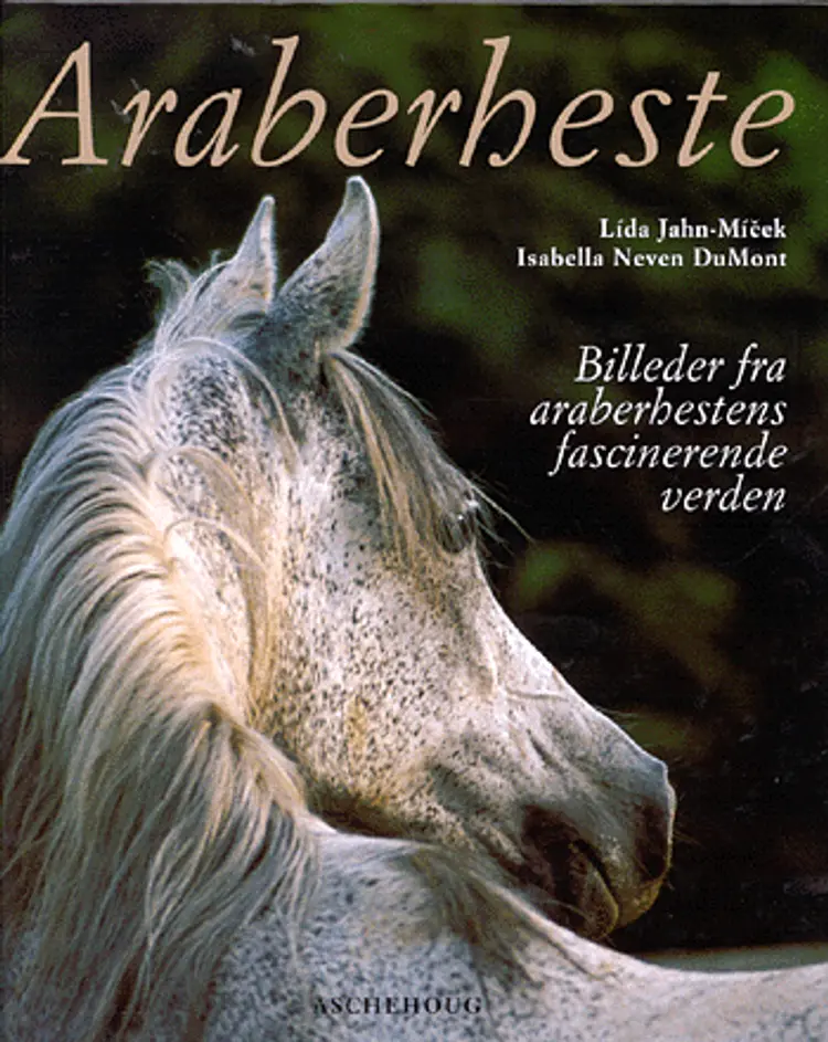 Araberheste af Lída Jahn-Mícek