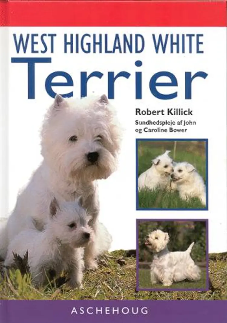 West Highland white terrier af Robert Killick