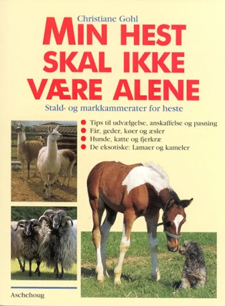Min hest skal ikke være alene af Christiane Gohl